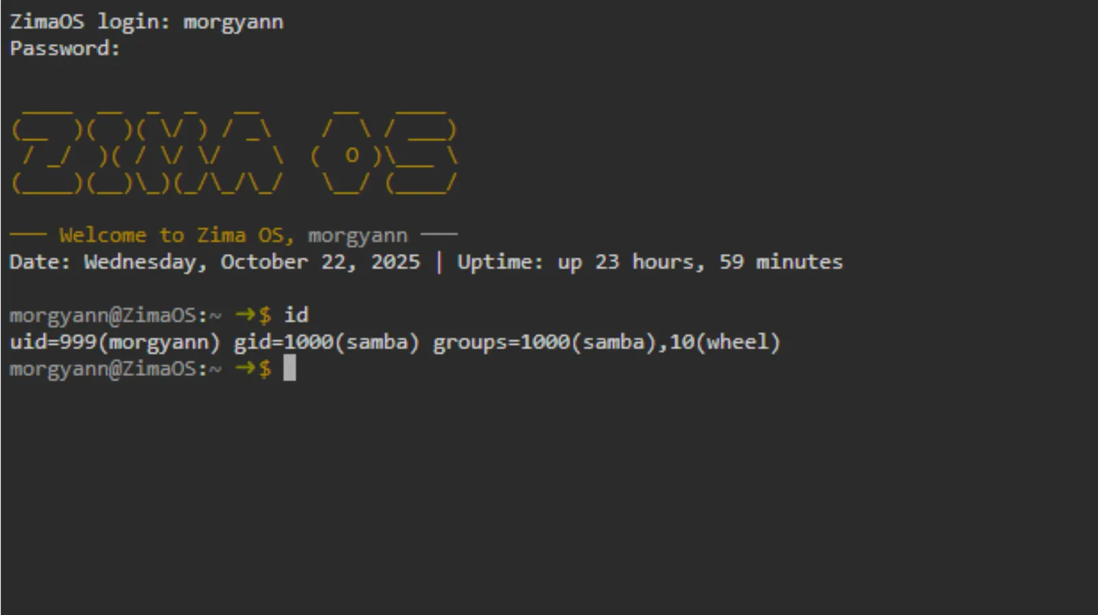 UID-et-GID-id zimaos