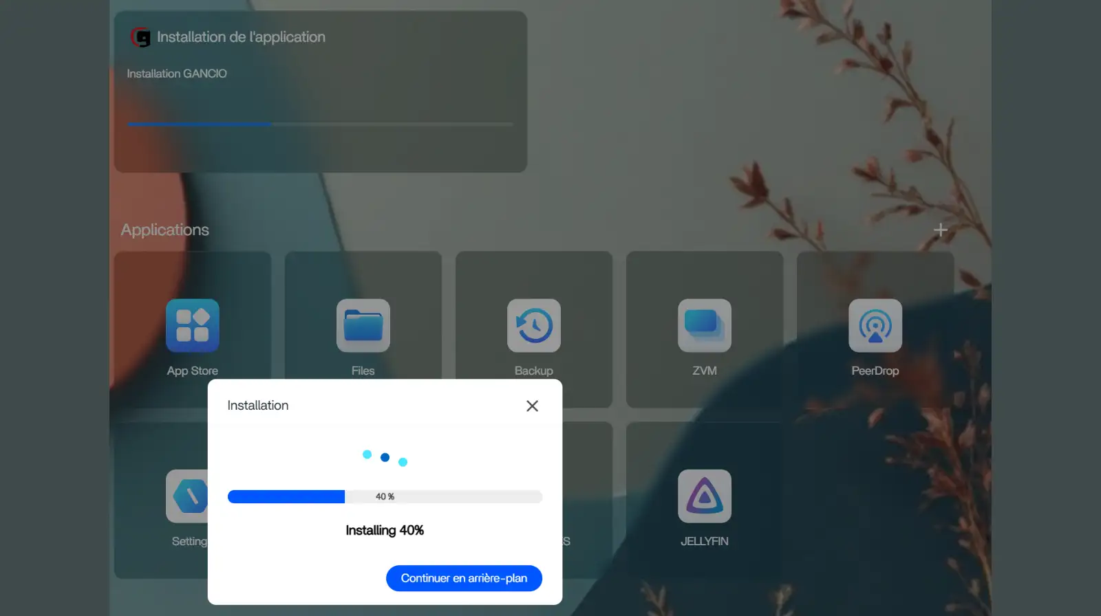 Cliquez sur Installer