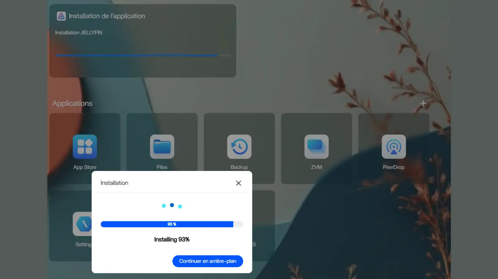 Cliquez sur Installer