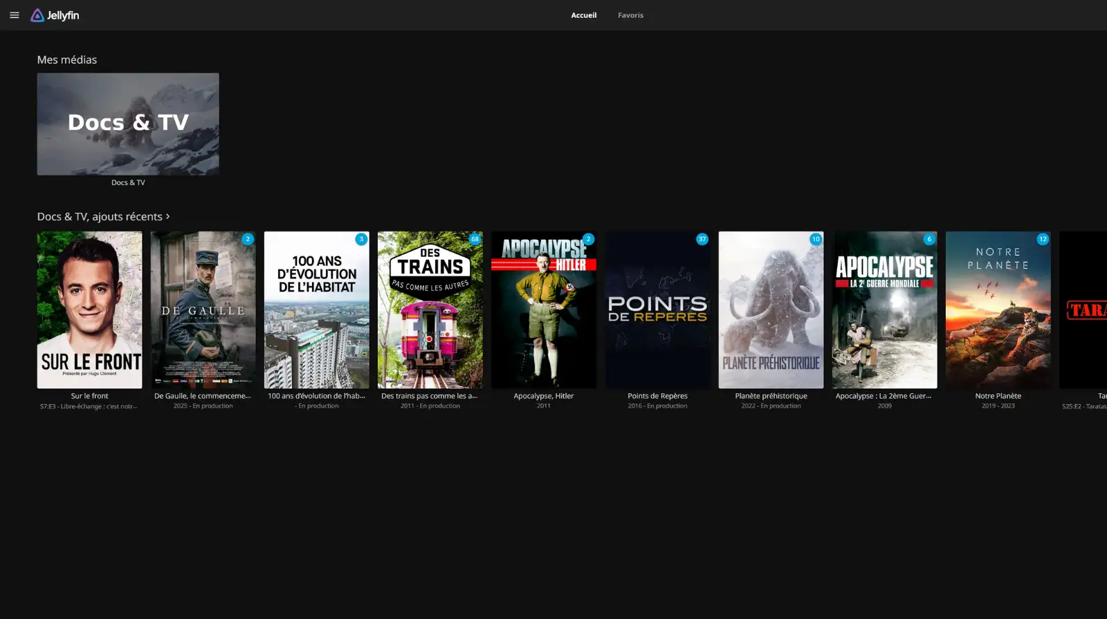 Profitez de votre serveur Jellyfin