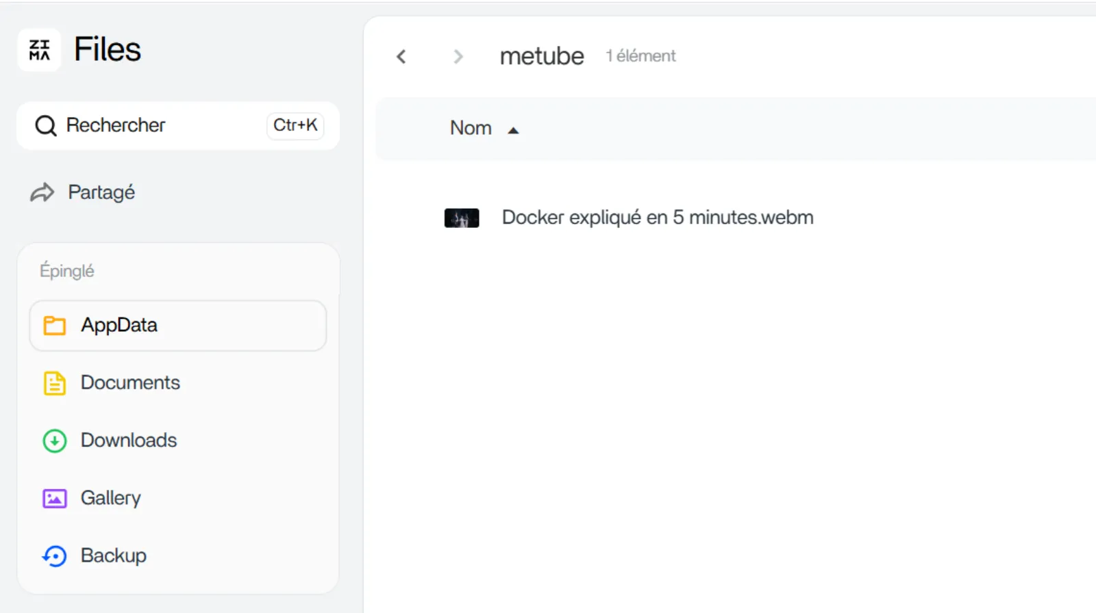Vos téléchargements sont stockés dans le dossier Files -> AppData -> metube