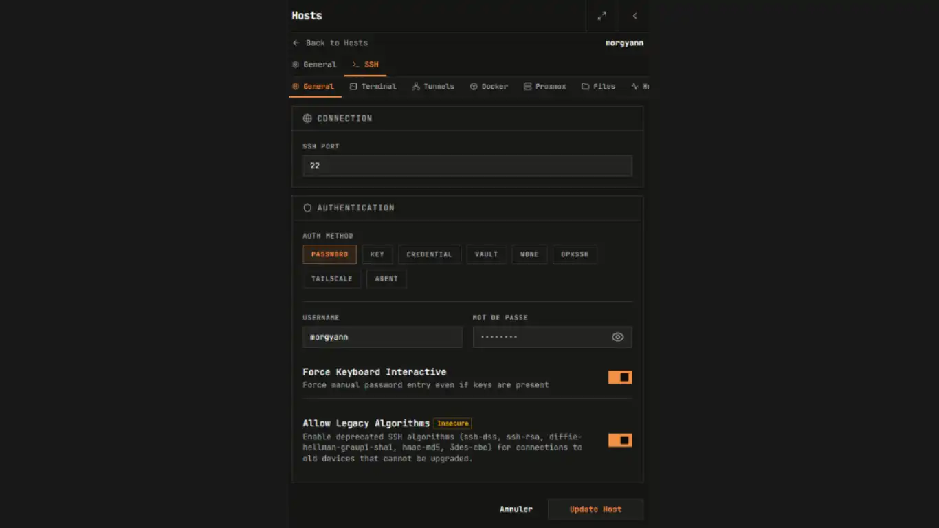 Termix sur FygoOS - ssh