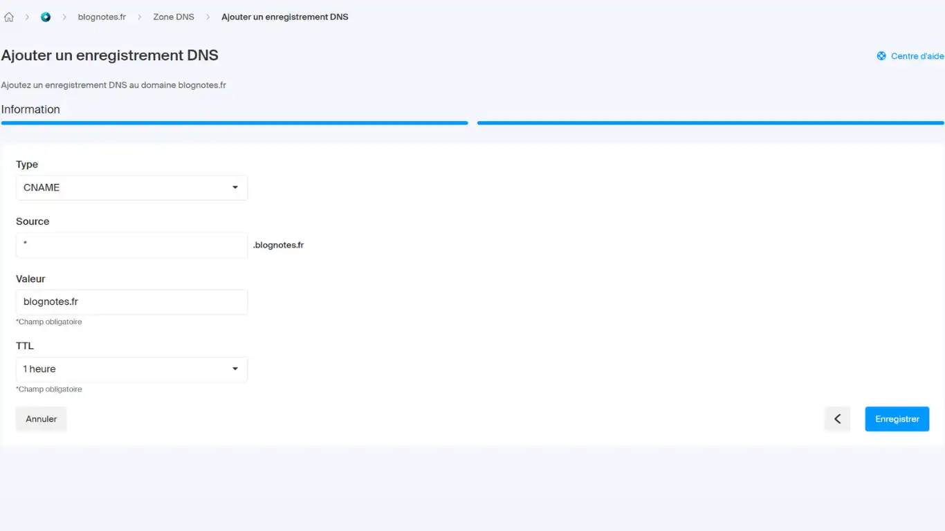 wildcard avec npm - CNAME enregistrement1