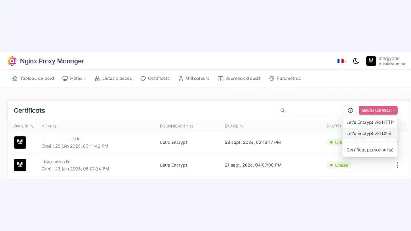 wildcard avec npm - sélectionner via DNS