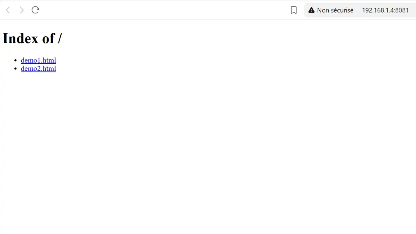 html sur serveur-page index